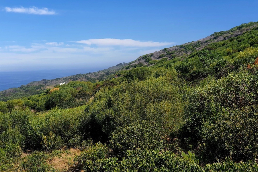 0 Bedroom Property for Sale in Fynbosstrand Western Cape